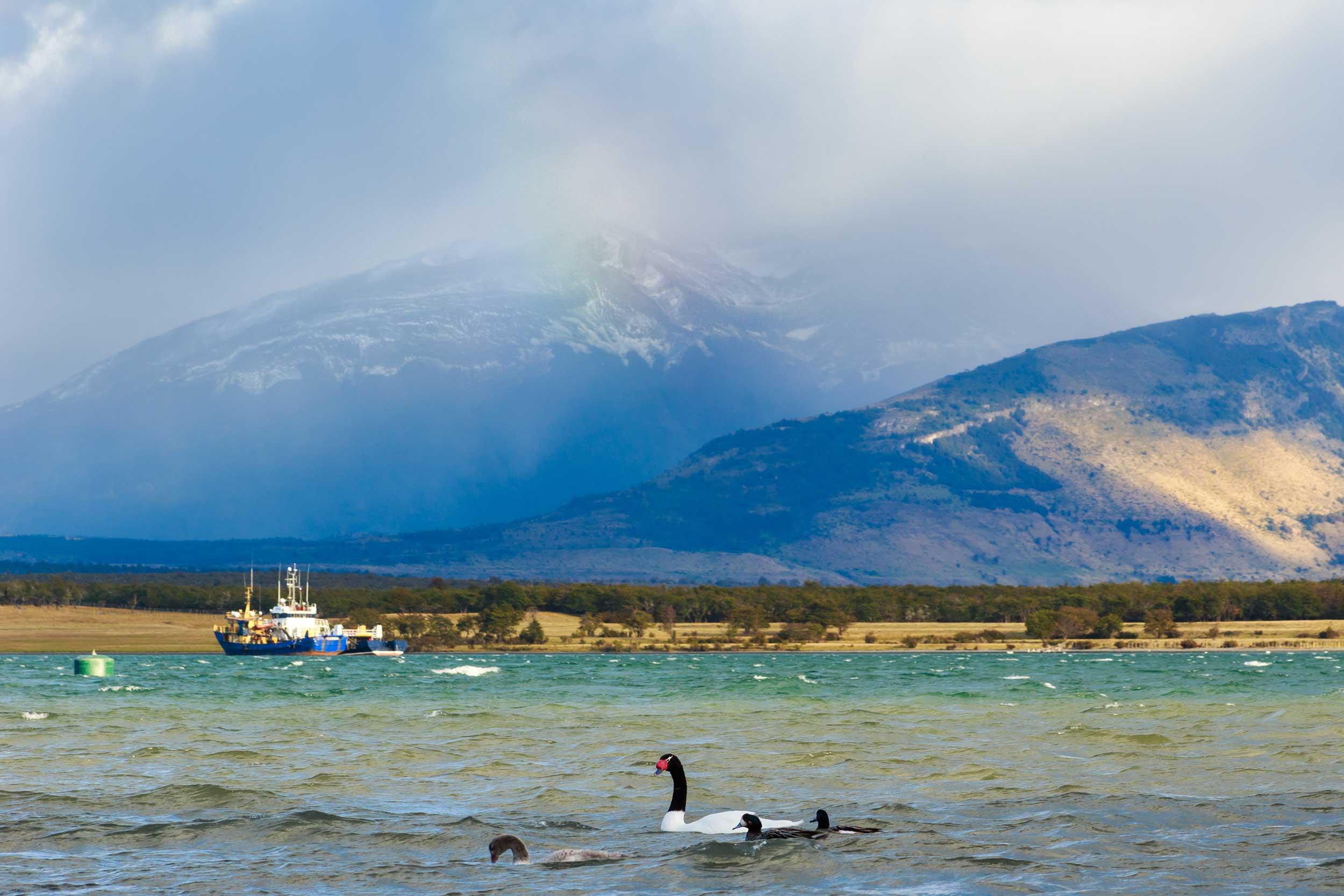 Clásico Patagonia Imperdible - Puerto Natales